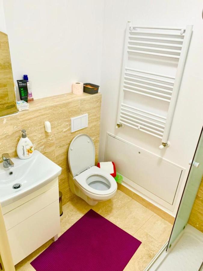 Big & Cosy Apartment With 3 Double Beds & 2 Bathrooms Iasi Exteriér fotografie